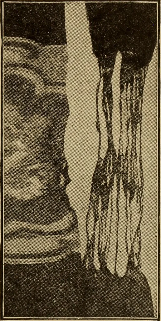 An illustration from Study of fabrics, 1918, leaf 98