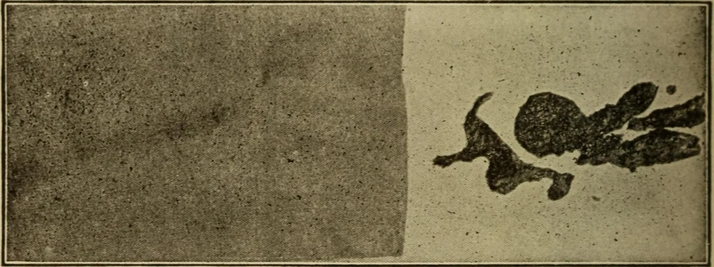 An illustration from Study of fabrics, 1918, leaf 99