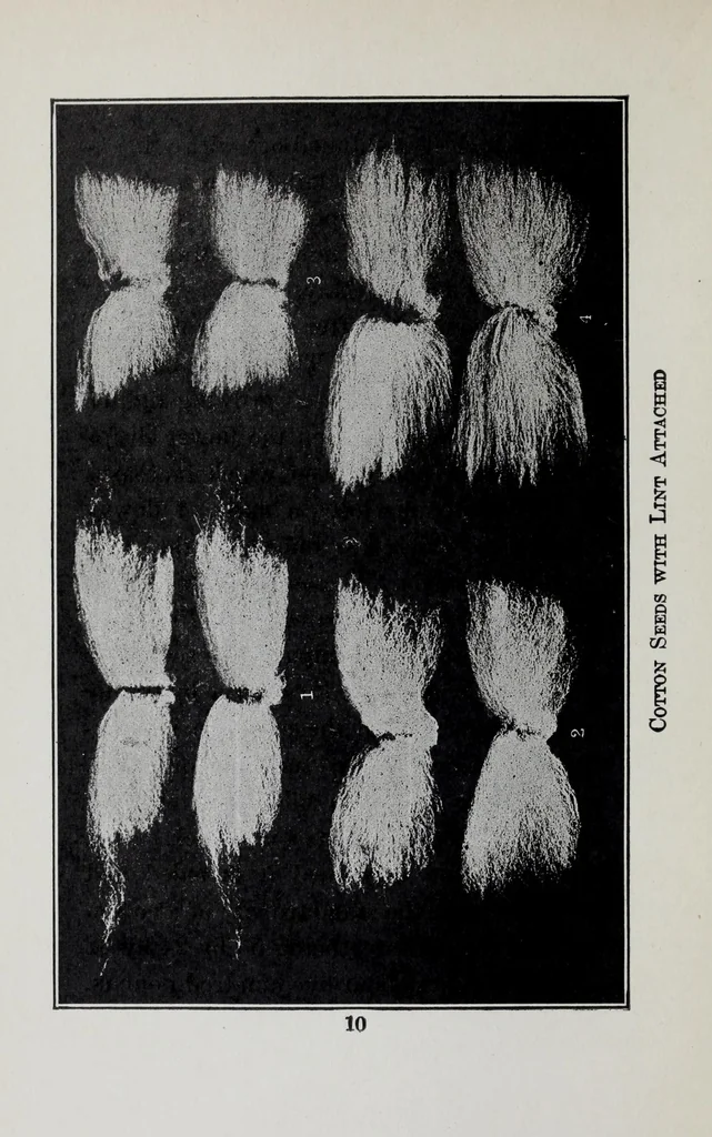 An illustration from Study of fabrics, 1918, leaf 24