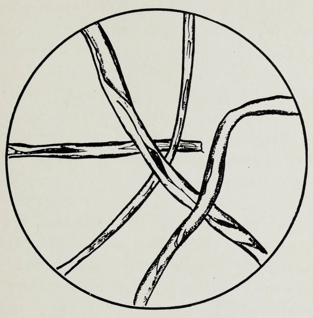 An illustration from Study of fabrics, 1918, leaf 33