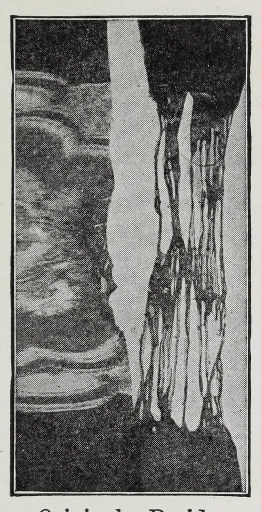 An illustration from Study of fabrics, 1918, leaf 99