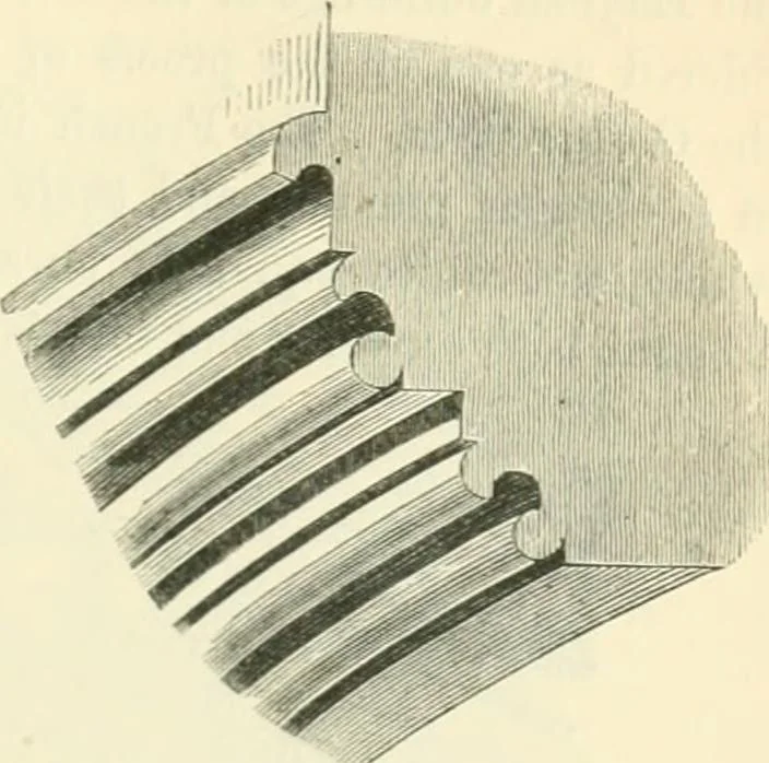 An illustration from An introduction to the study of Gothic architecture, 1900, leaf 140