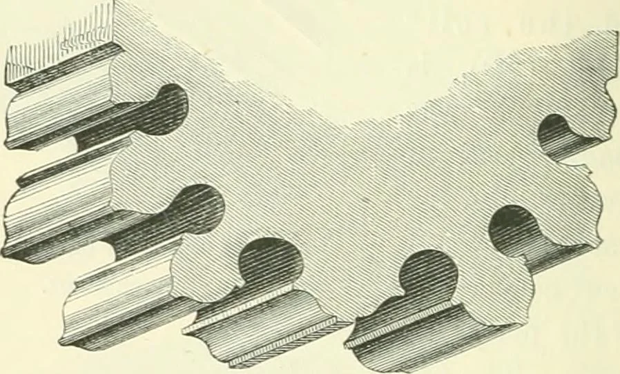 An illustration from An introduction to the study of Gothic architecture, 1900, leaf 141