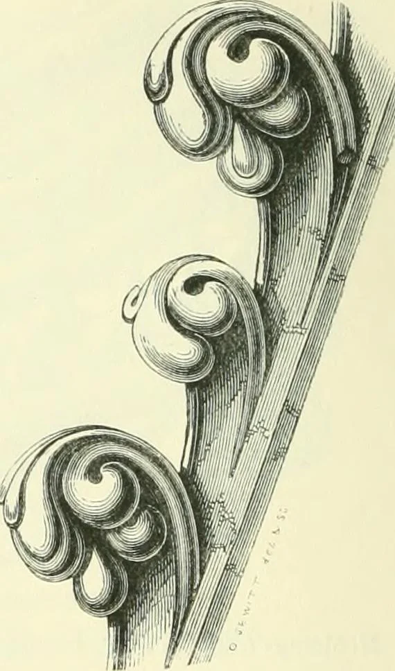 An illustration from An introduction to the study of Gothic architecture, 1900, leaf 143