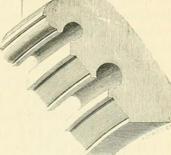 An illustration from An introduction to the study of Gothic architecture, 1900, leaf 204