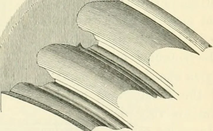 An illustration from An introduction to the study of Gothic architecture, 1900, leaf 316