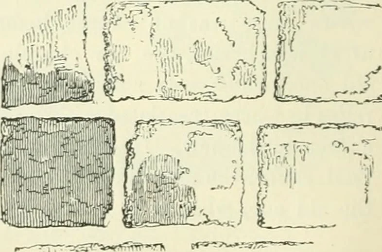 An illustration from An introduction to the study of Gothic architecture, 1900, leaf 57