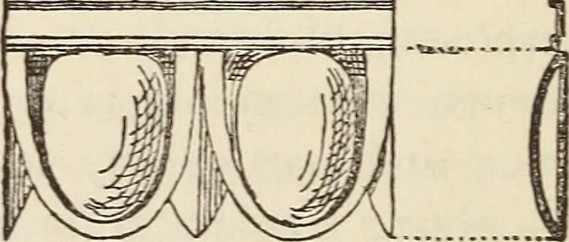 An illustration from A study of the houses of the American aborigines; with suggestions for the exploration of the ruins in New Mexico, Arizona, the valley of the San Juan, and in Yucatan and Central America, under the auspices of the Archæological institute, 1880, leaf 167