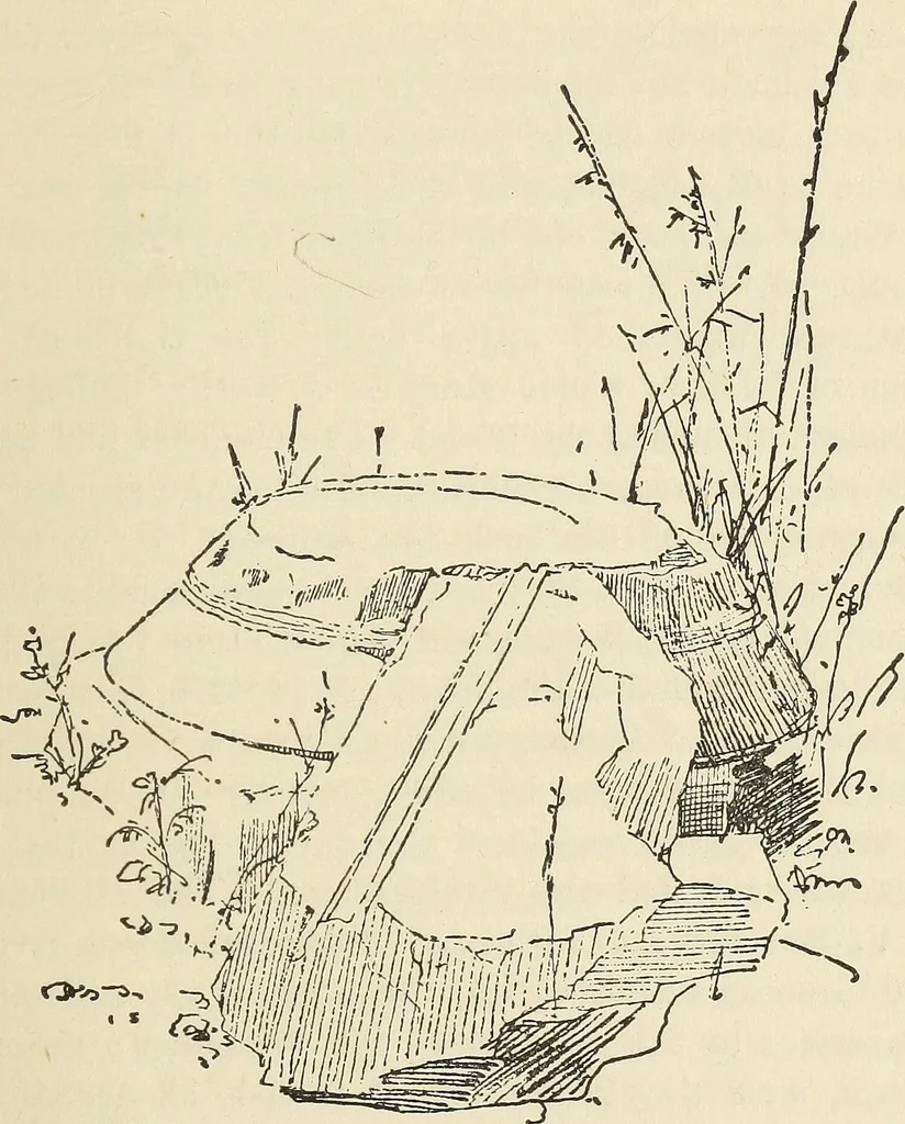 An illustration from A study of the houses of the American aborigines; with suggestions for the exploration of the ruins in New Mexico, Arizona, the valley of the San Juan, and in Yucatan and Central America, under the auspices of the Archæological institute, 1880, leaf 170
