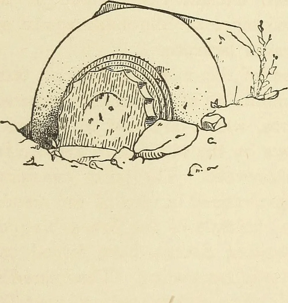 An illustration from A study of the houses of the American aborigines; with suggestions for the exploration of the ruins in New Mexico, Arizona, the valley of the San Juan, and in Yucatan and Central America, under the auspices of the Archæological institute, 1880, leaf 194