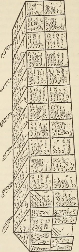 An illustration from A study of the houses of the American aborigines; with suggestions for the exploration of the ruins in New Mexico, Arizona, the valley of the San Juan, and in Yucatan and Central America, under the auspices of the Archæological institute, 1880, leaf 35