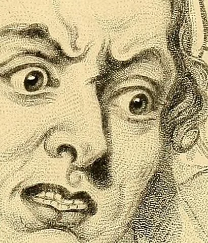An illustration from The study of the human face, 1865, leaf 136