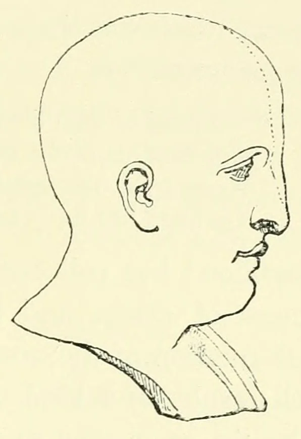 An illustration from The study of man, 1908, leaf 131