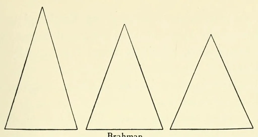 An illustration from The study of man, 1908, leaf 151