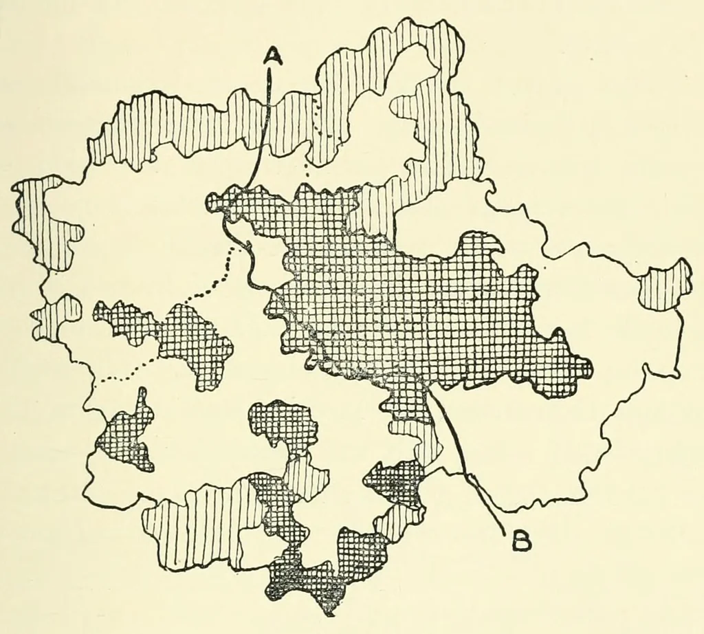 An illustration from The study of man, 1908, leaf 185