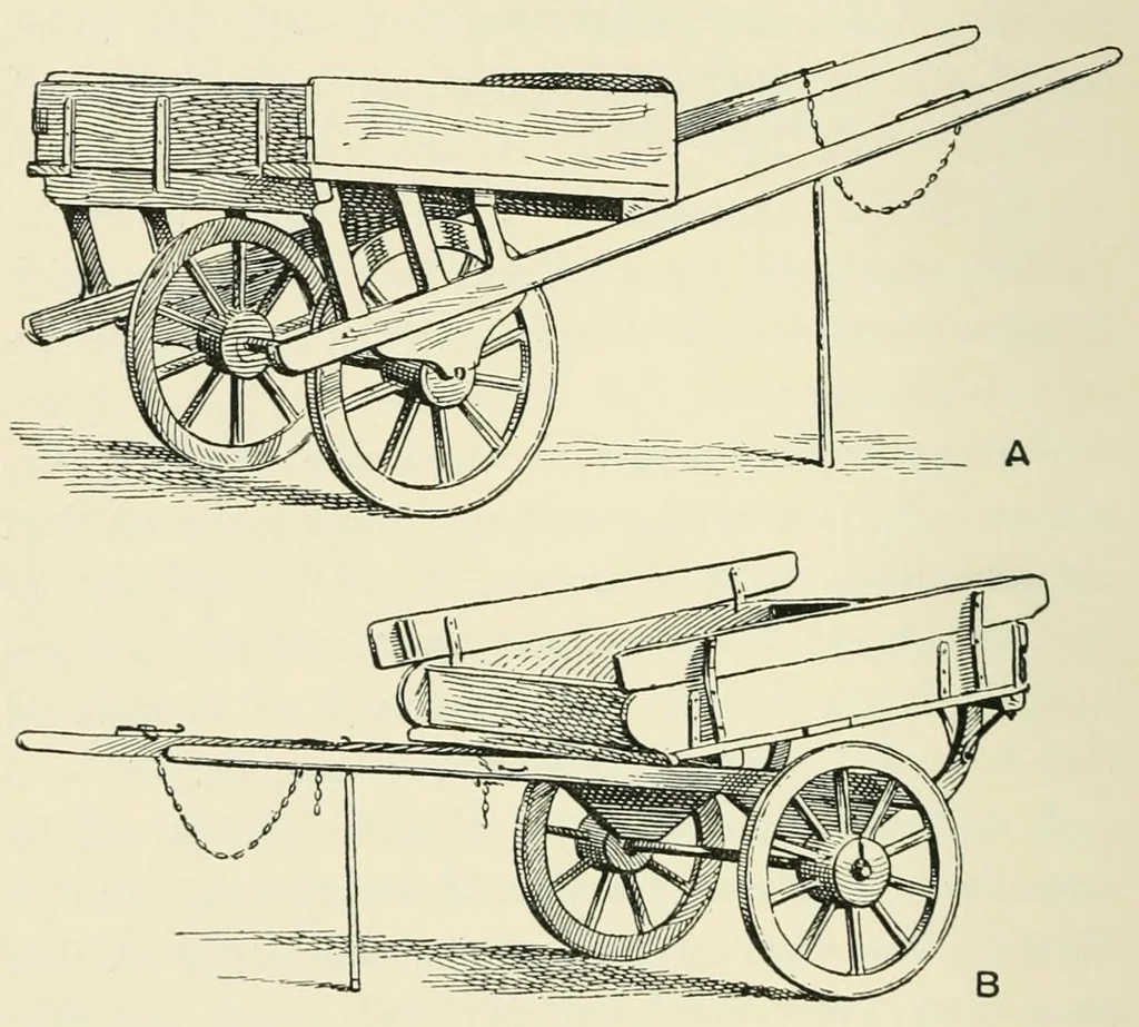 An illustration from The study of man, 1908, leaf 242