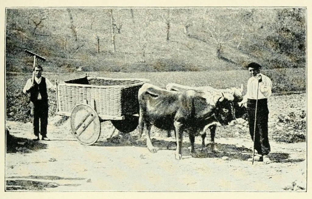 An illustration from The study of man, 1908, leaf 255