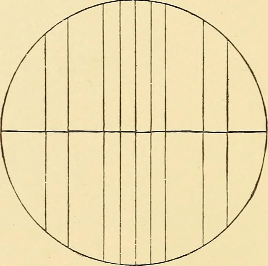 An illustration from A study of the sky, 1896, leaf 159