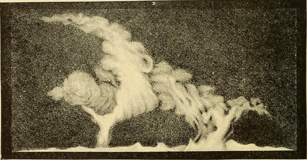 An illustration from A study of the sky, 1896, leaf 199
