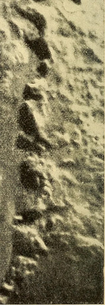 An illustration from A study of the sky, 1896, leaf 223