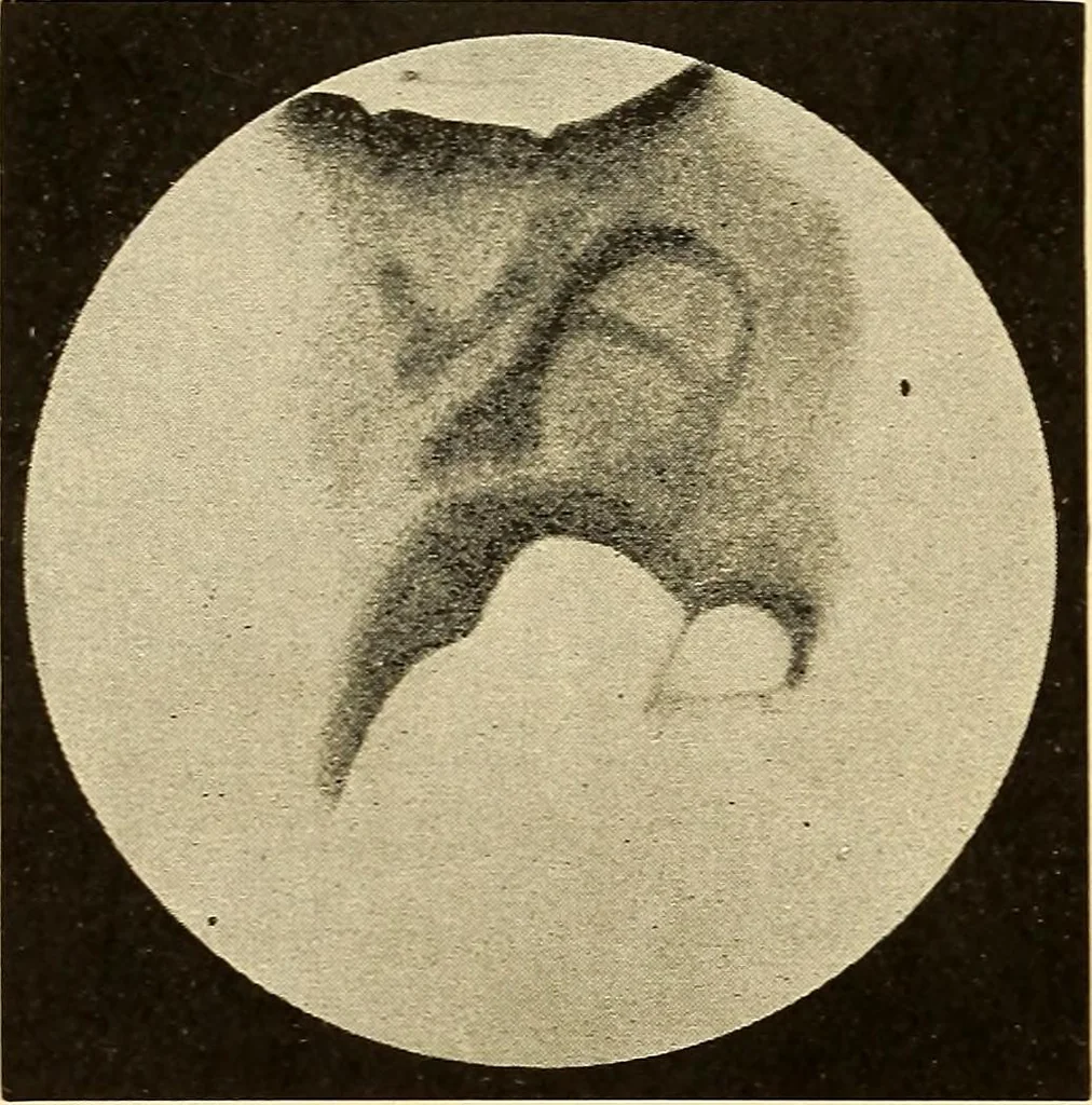 An illustration from A study of the sky, 1896, leaf 245
