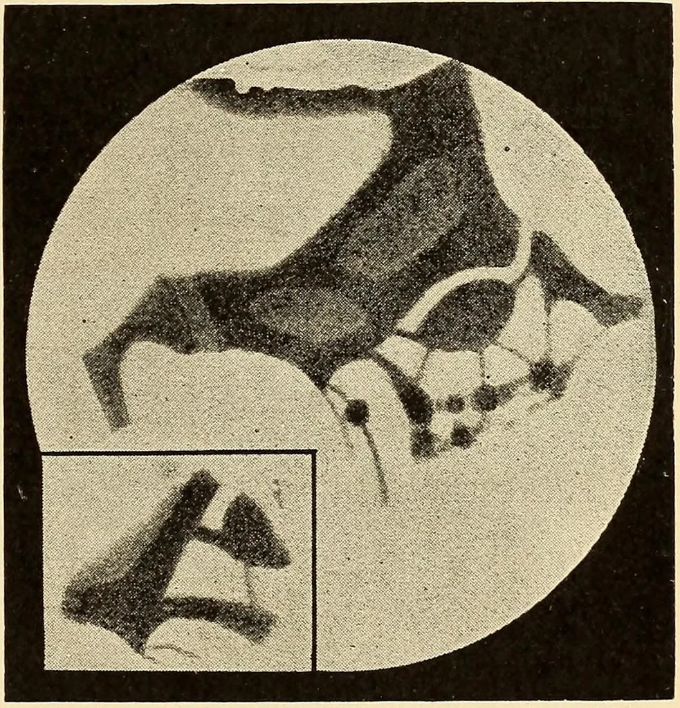 An illustration from A study of the sky, 1896, leaf 246