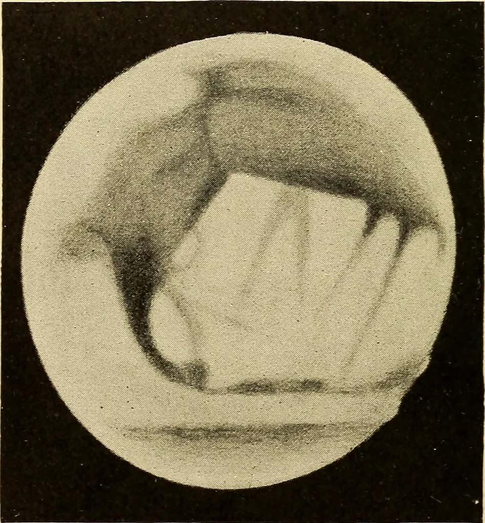 An illustration from A study of the sky, 1896, leaf 249