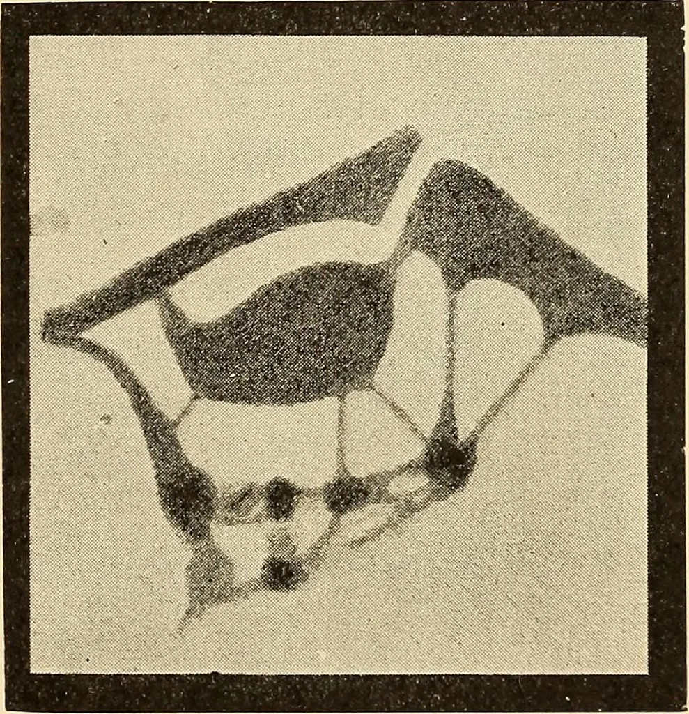An illustration from A study of the sky, 1896, leaf 250