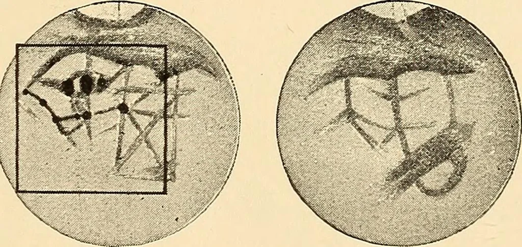 An illustration from A study of the sky, 1896, leaf 252