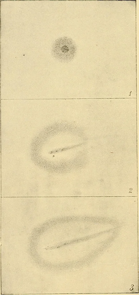 An illustration from A study of the sky, 1896, leaf 289