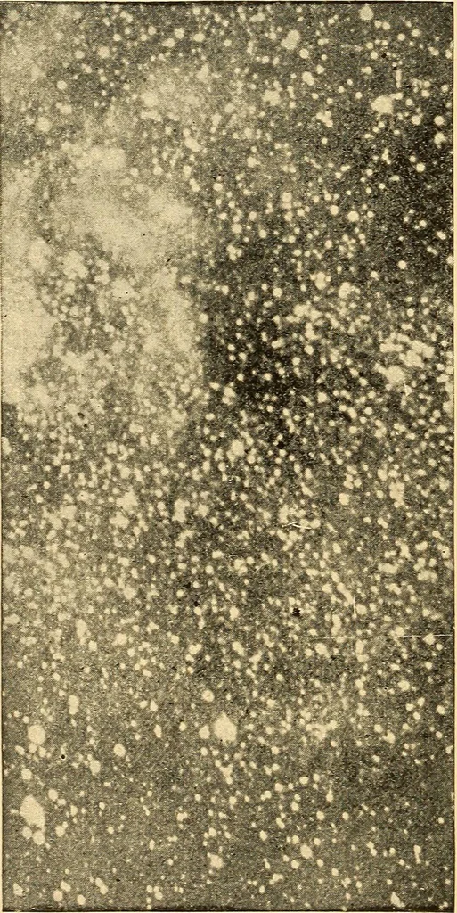 An illustration from A study of the sky, 1896, leaf 325