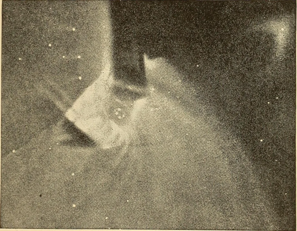 An illustration from A study of the sky, 1896, leaf 336