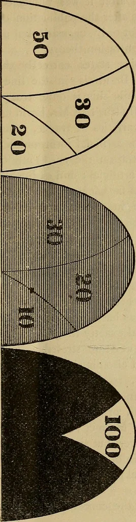 An illustration from The study of trance, muscle-reading and allied phenomena in Europe and America : With a letter of the moral character of trance subjects, and a defence of Dr. Charcot, 1882, leaf 14