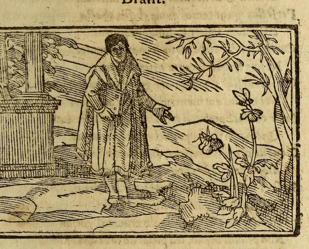 An illustration from Stultifera nauis mortalium, : in qua fatui affectus, mores conatus atque studia, quibus uita hæc nostra, in omni hominum genere, scatet, cunctis sapientiæ cultoribus depinguntur, [et] uelut in speculo ob oculos ponuntur. ..., 1572, leaf 291