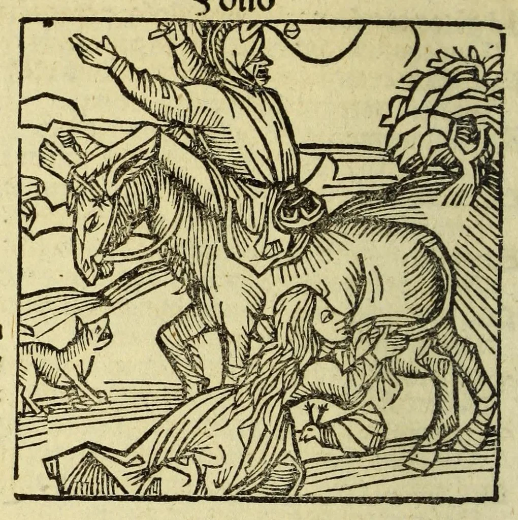 An illustration from Stultifera nauis : Narrago[n]ie profectionis nunq[uam] satis laudata nauis, leaf 100