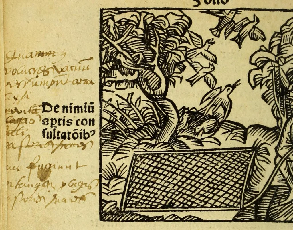 An illustration from Stultifera nauis : Narrago[n]ie profectionis nunq[uam] satis laudata nauis, leaf 106
