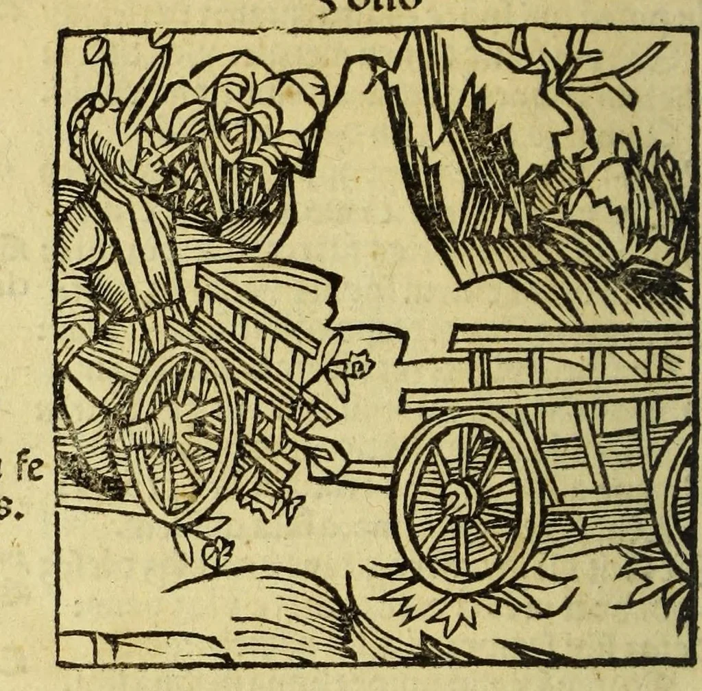 An illustration from Stultifera nauis : Narrago[n]ie profectionis nunq[uam] satis laudata nauis, leaf 120