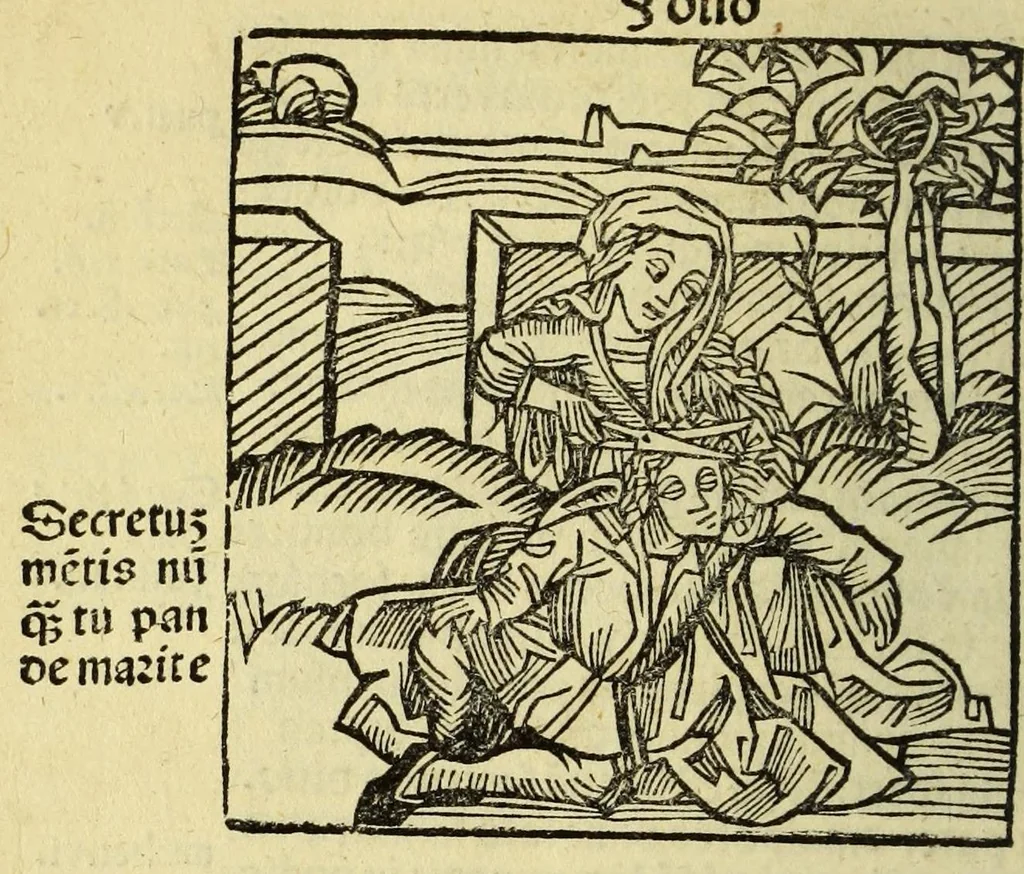 An illustration from Stultifera nauis : Narrago[n]ie profectionis nunq[uam] satis laudata nauis, leaf 126