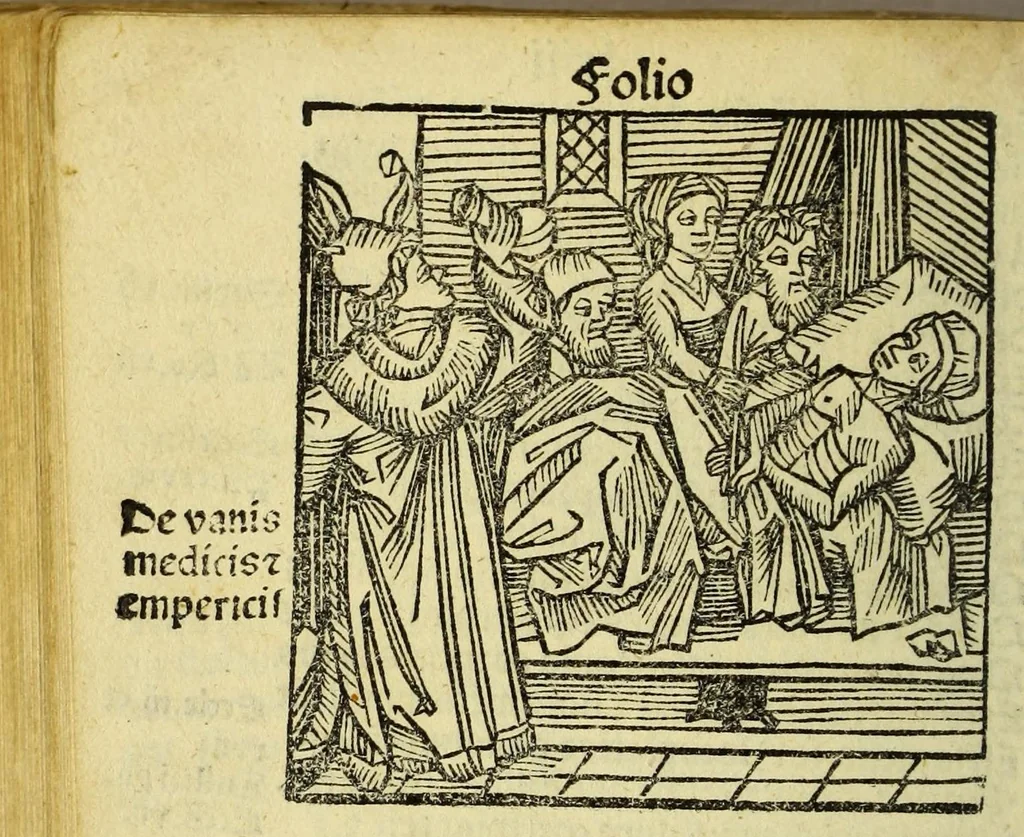 An illustration from Stultifera nauis : Narrago[n]ie profectionis nunq[uam] satis laudata nauis, leaf 134