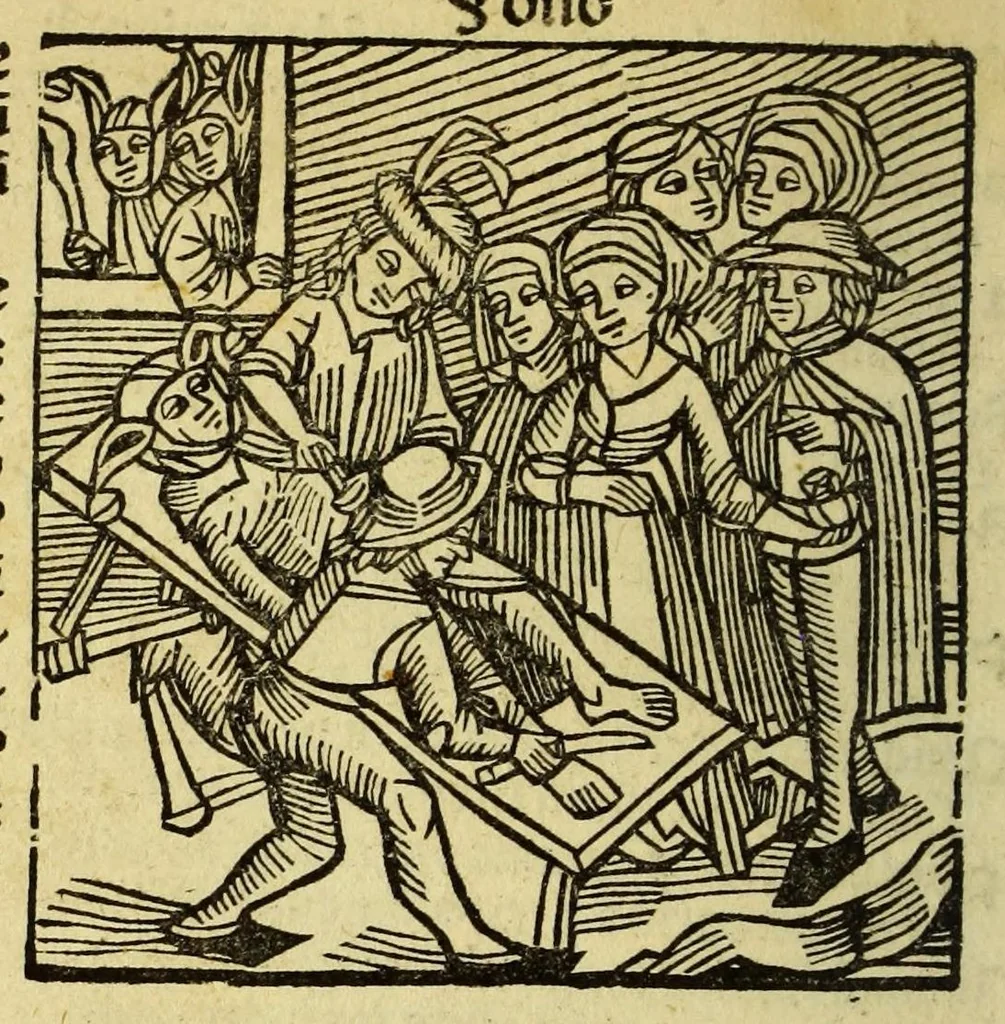 An illustration from Stultifera nauis : Narrago[n]ie profectionis nunq[uam] satis laudata nauis, leaf 162