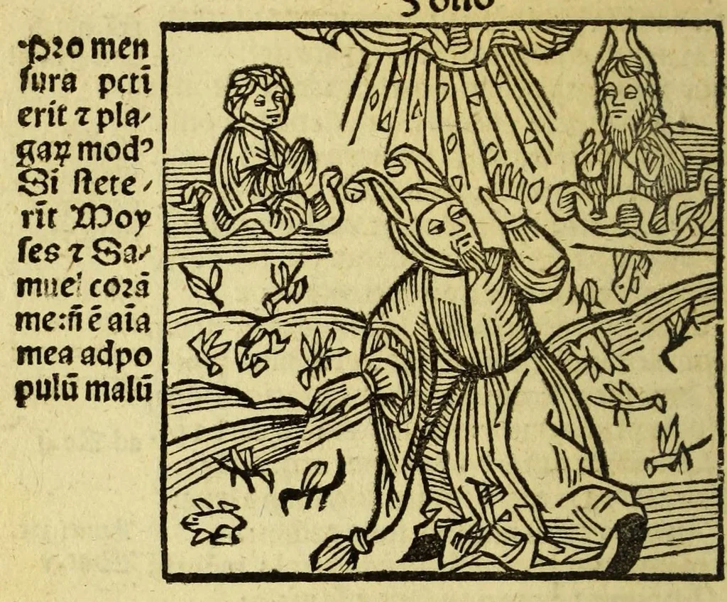 An illustration from Stultifera nauis : Narrago[n]ie profectionis nunq[uam] satis laudata nauis, leaf 204