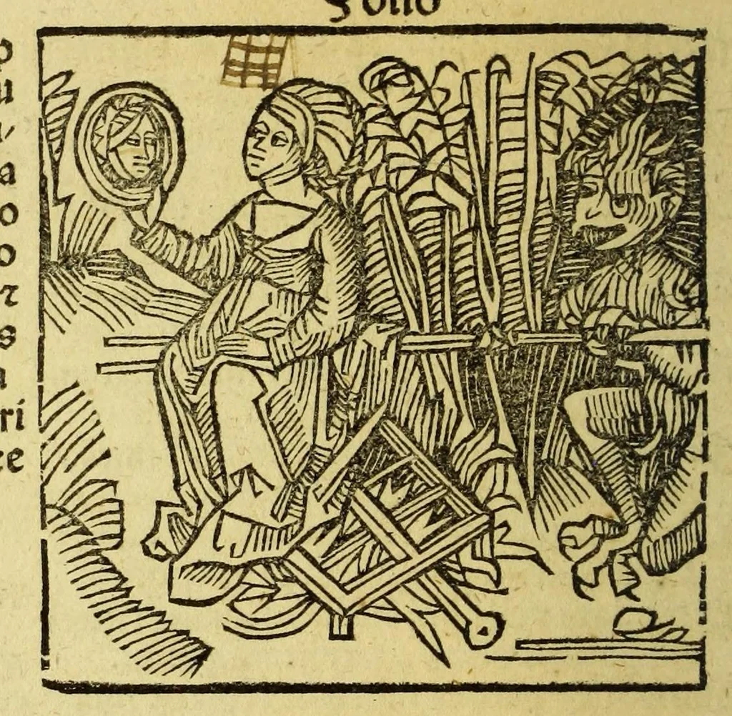 An illustration from Stultifera nauis : Narrago[n]ie profectionis nunq[uam] satis laudata nauis, leaf 212