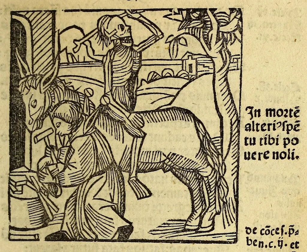 An illustration from Stultifera nauis : Narrago[n]ie profectionis nunq[uam] satis laudata nauis, leaf 217
