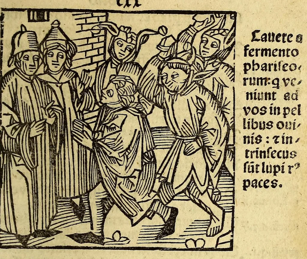 An illustration from Stultifera nauis : Narrago[n]ie profectionis nunq[uam] satis laudata nauis, leaf 247