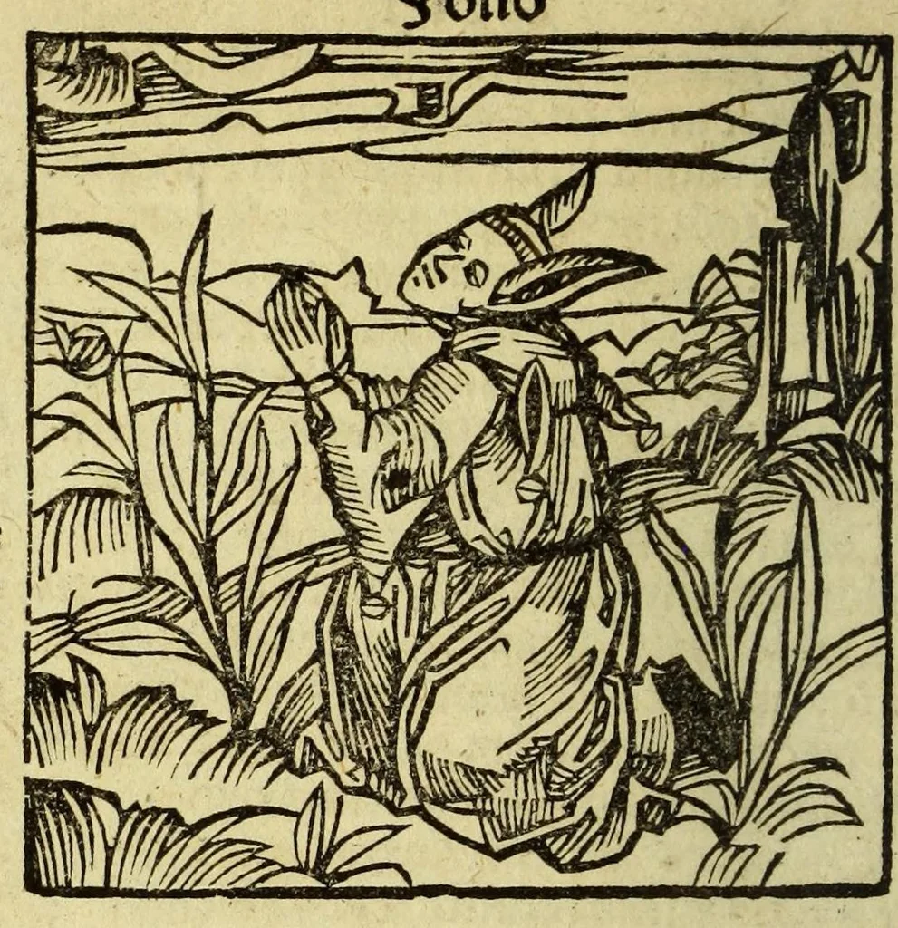 An illustration from Stultifera nauis : Narrago[n]ie profectionis nunq[uam] satis laudata nauis, leaf 82