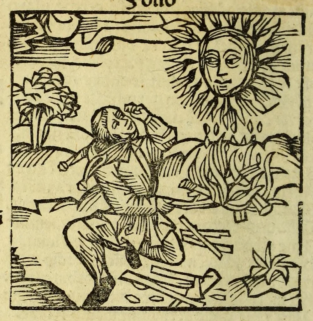 An illustration from Stultifera nauis : Narrago[n]ie profectionis nunq[uam] satis laudata nauis, leaf 86
