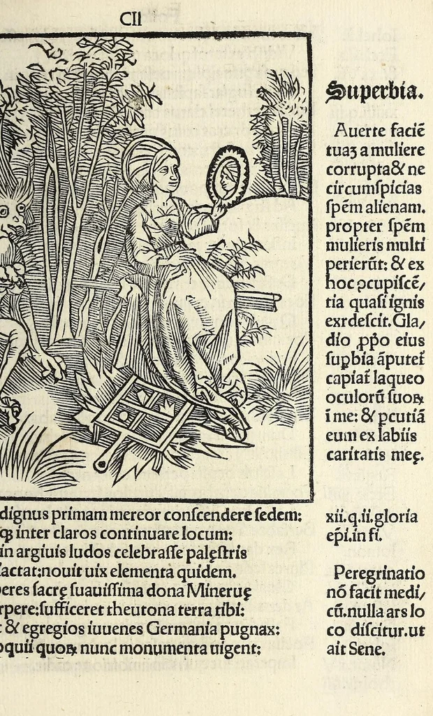 An illustration from Stultifera nauis : Narragonice p[ro]fect[i]onis nunq[uam] satis laudata nauis:, leaf 211