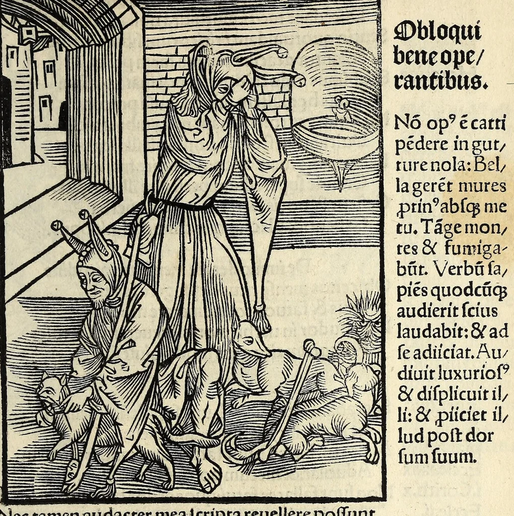 An illustration from Stultifera nauis : Narragonice p[ro]fect[i]onis nunq[uam] satis laudata nauis:, leaf 251