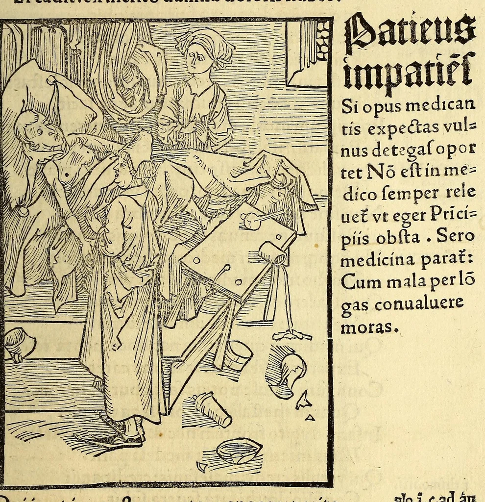 An illustration from Stultifera nauis : Narragonice p[ro]fect[i]onis nunq[uam] satis laudata nauis:, leaf 105