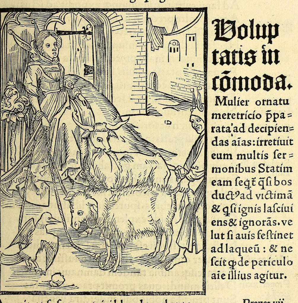 An illustration from Stultifera nauis : Narragonice p[ro]fect[i]onis nunq[uam] satis laudata nauis:, leaf 125